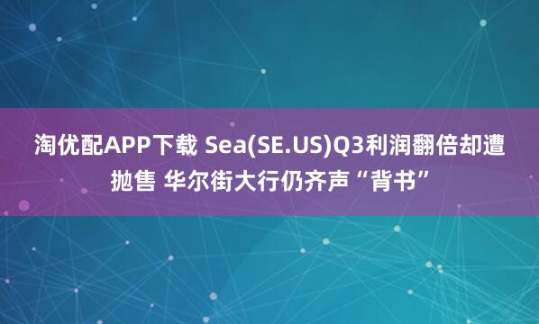 淘优配APP下载 Sea(SE.US)Q3利润翻倍却遭抛售 华尔街大行仍齐声“背书”