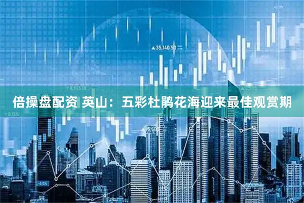 倍操盘配资 英山：五彩杜鹃花海迎来最佳观赏期